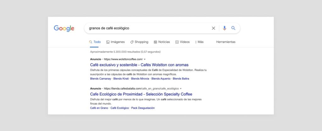 Resultados de búsqueda de pago mostrados por Google